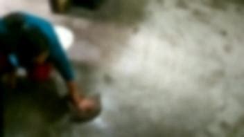 La Criada Fue Follada Por El Hijo Del Casero Xvideos