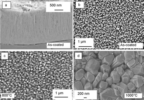 SEM Images Of Un Doped Magnetron Sputtered TiO2 Layers In The As Coated