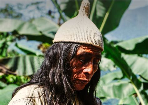 HCV Network on LinkedIn: Principles of the HCV Approach | HCV Network 