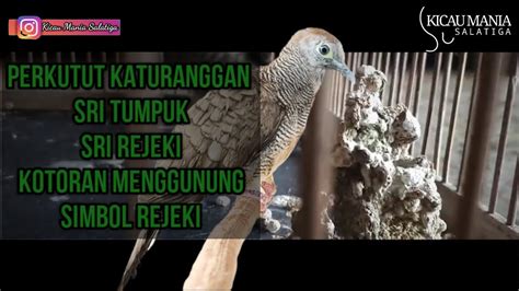 PERKUTUT KATURANGGAN SRI TUMPUK SRI REJEKI KOTORAN MENGGUNUNG SIMBOL