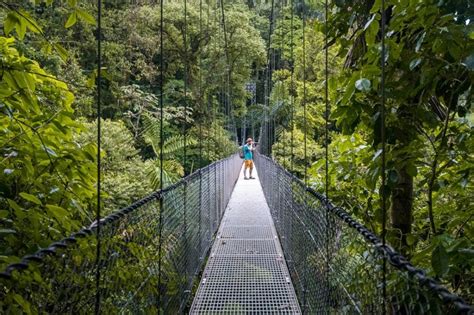 Mistico Hanging Bridges Walk Amongst The Treetops Of La Fortuna