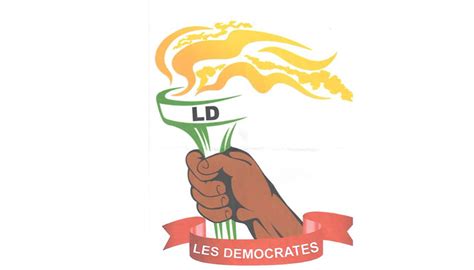 Révision de la Constitution au Bénin Joël Godonou note un manque de