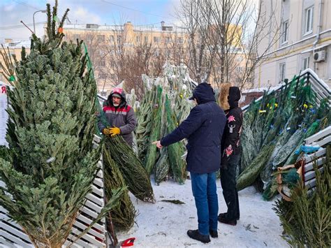В Москве открылось 240 ёлочных базаров