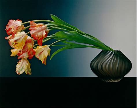 Robert Mapplethorpe S Sensual Flowers Another