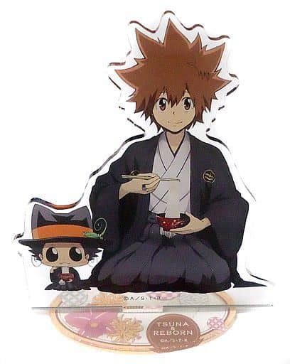 Reborn Tsuna Chibi