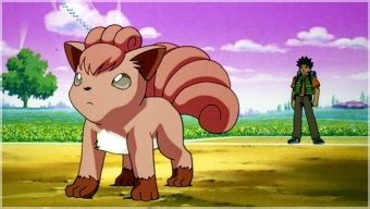 Vulpix - Azurilland Wiki