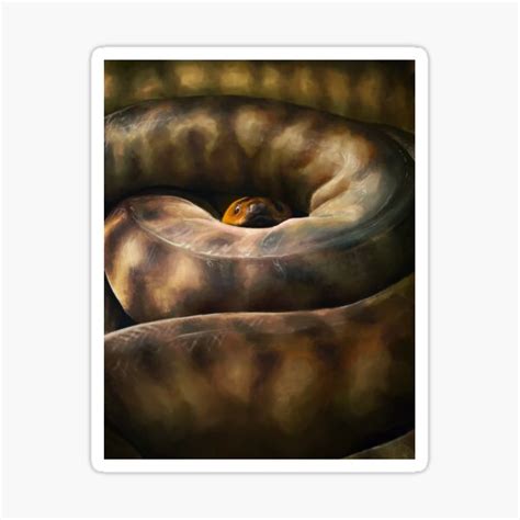 Woma Python Sticker For Sale By Tyrannart Redbubble