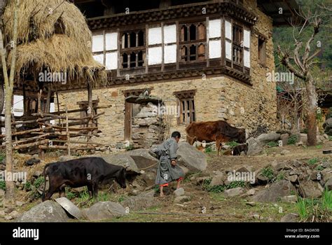 Jigme singye wangchuck hi-res stock photography and images - Alamy