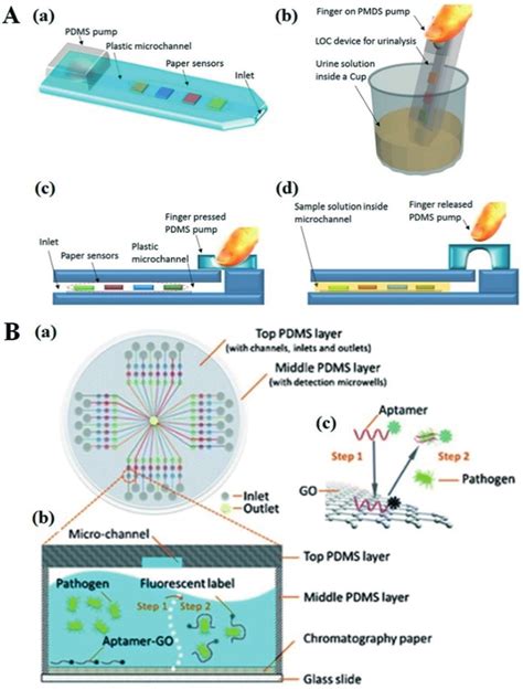 Paperpolymer Hybrid Microfluidic Devices For Protein A And