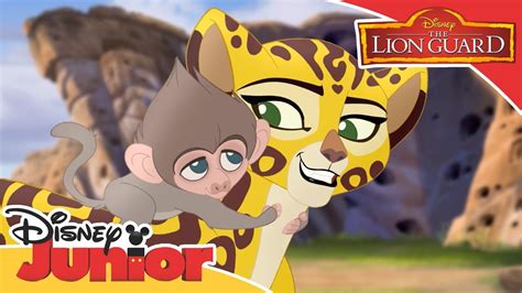 The Lion Guard Fuli Saves Baby Baboon Official Disney Channel