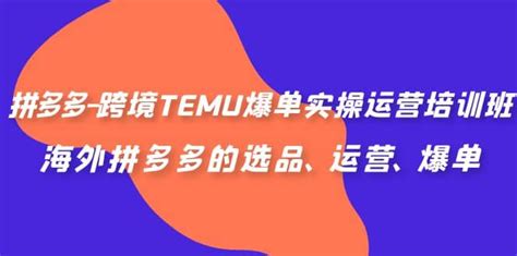 拼多多 跨境temu爆单实操运营培训班，海外拼多多的选品、运营、爆单 算芸商盟优质付费资源知识付费网课平台创业项目代理加盟技术