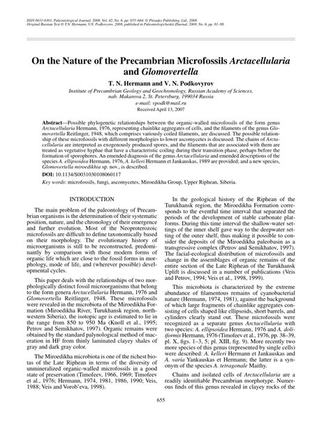 (PDF) On the nature of the Precambrian microfossils Arctacellularia and ...