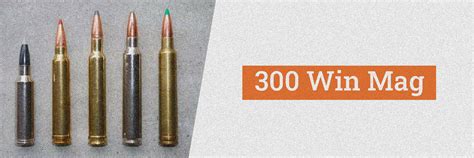 300 Win Mag Vs 300 Rum A Complete Comparative Guide • Air Gun Maniac