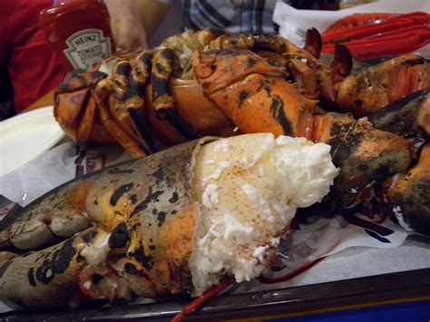 Jordan's Lobster Farm: Live, Fresh Seafood