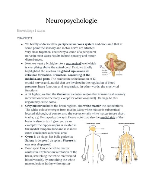 Neuropsychologie Aantekeningen Lectures Neuropsychologie