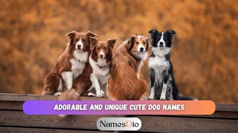 101 Adorable and Unique Cute Dog Names to Brighten Your Day - NamesDio