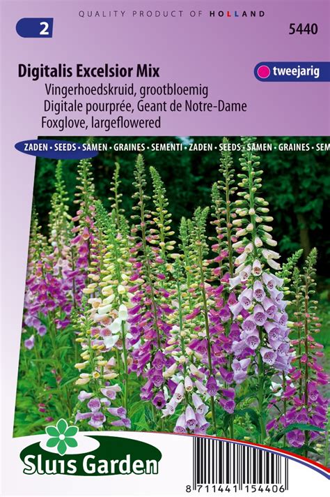 Buy Foxglove Excelsior Mix Order Seeds Online At Seeds Garden