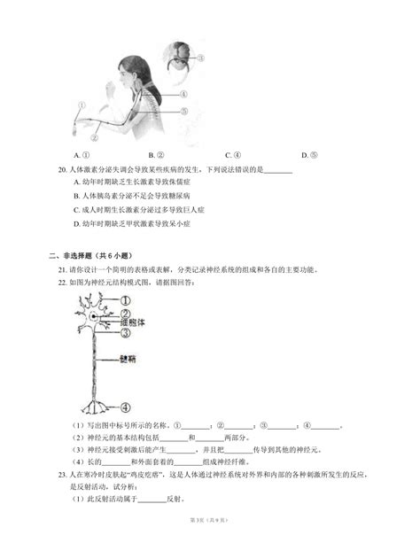 北师大版七下 第4单元第12章 人体的自我调节单元测试（含答案） 21世纪教育网