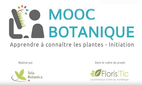 Le Mooc Botanique Sur Youtube Tela Botanica