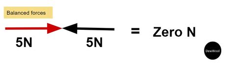 Balanced force-Definition|Examples - DewWool