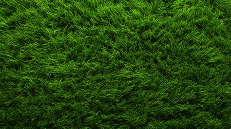 Lush Green Grass Texture In A Horizontal Perspective Background Grass