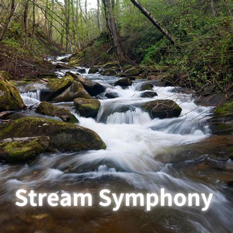 Stream Symphony Album By Pleasant Ambience Spotify