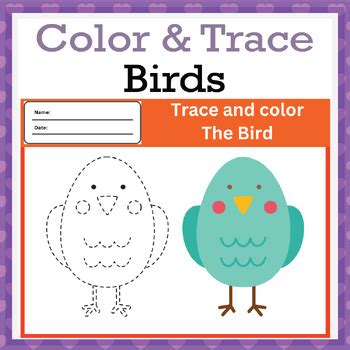 Color And Trace Birds Tracing And Handwriting Practice Pages By Simon