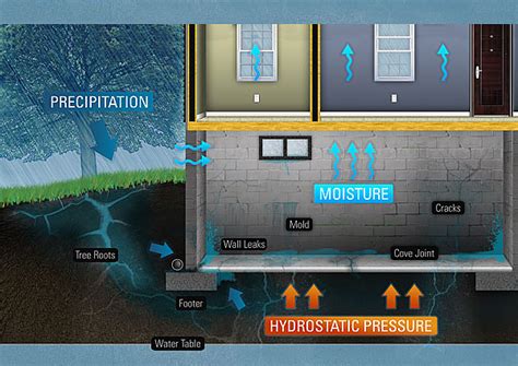 Basement Waterproofing Fast Diagnose Fast Process So Easy