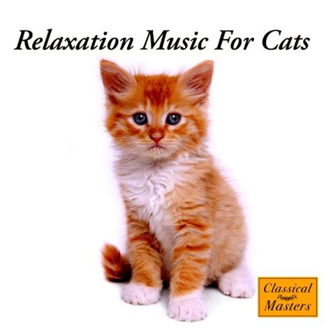 Amazon.com: Relaxation Music For Cats : The Cat Whisperer: Everything Else