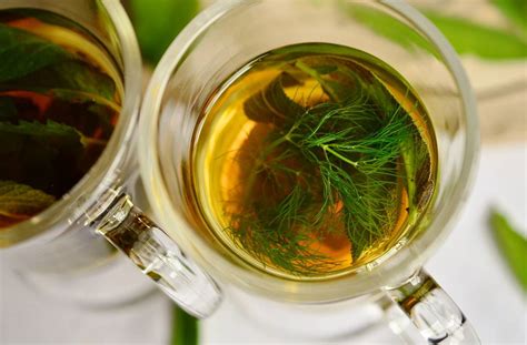 Фенхель: полезные свойства и применение | Огородники