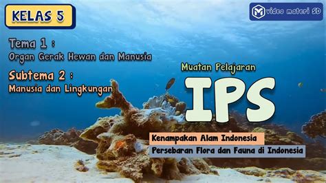 IPS Kelas 5 Tema 1 Subtema 2 Kenampakan Alam Di Indonesia YouTube