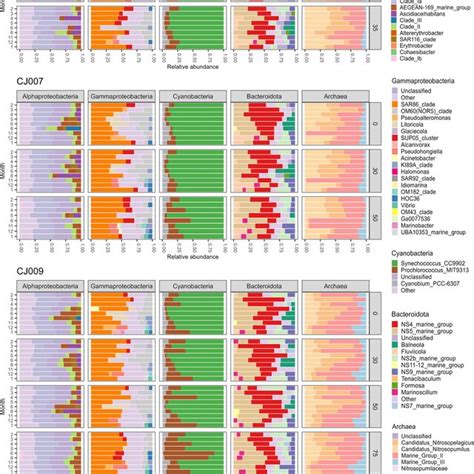 Genus Level Taxonomic Classification Of The Most Abundant Bacterial And