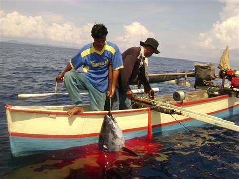 Nautik Kapal Perikanan Nelayan Tradisional Dengan Sumber Daya Ikan