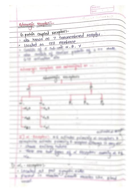 SOLUTION Adrenergic Receptors Studypool