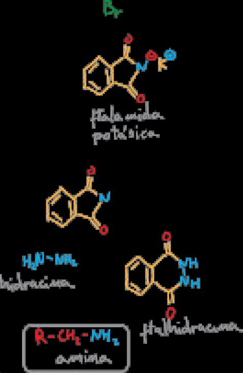 Reactions of Aliphatic Amines | Chemistry Online