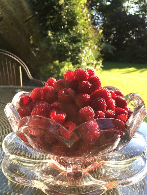 Chocolate and raspberry pots -Family Favourite Recipes- and how to