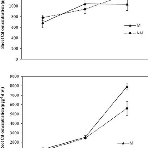 Shoot And Root Cd Concentration μ G G 1 D W Download Scientific Diagram