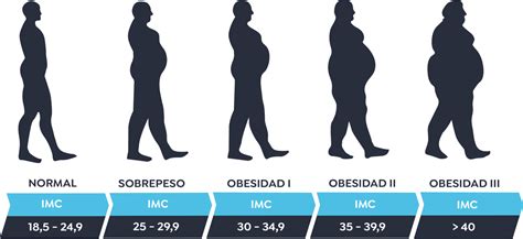 Calcula tu IMC Global Obesity Group I Clínica de la Obesidad