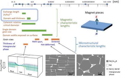 Intriguing Properties and Applications of Functional Magnetic Materials ...