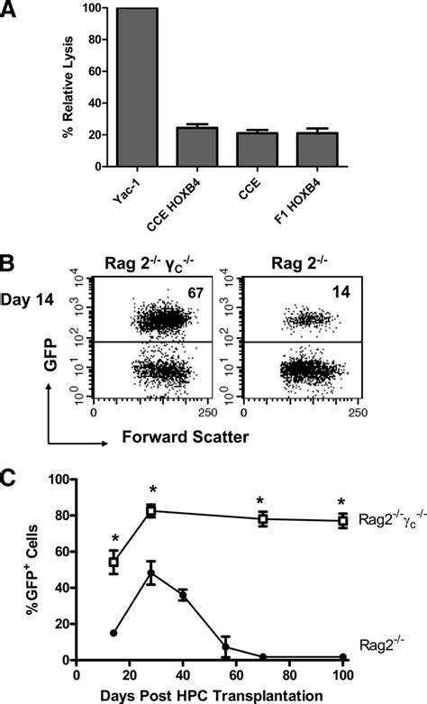 Nk Cells Regulate Hpc Engraftment In Vivo A A Flowbased Cytotoxicity