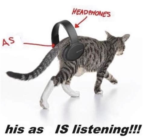 His Ass Is Listening His Ass Is Not X Know Your Meme