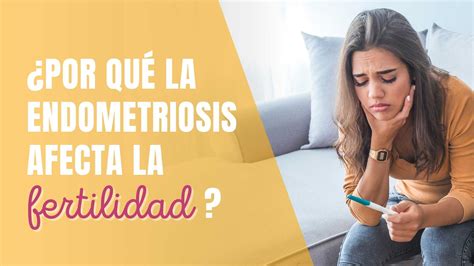 Por Qu La Endometriosis Afecta La Fertilidad