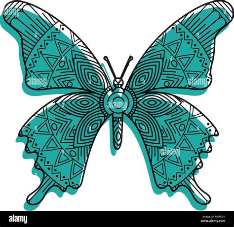 Pages De Coloriage Design Papillon Banque Dimages Vectorielles Alamy