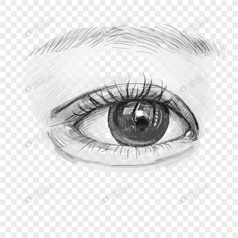 速写素描女眼睛元素素材下载-正版素材402075693-摄图网