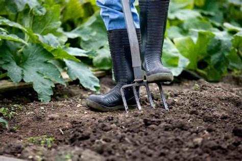 The Complete Guide to Garden Digging Tools - Minneopa Orchards