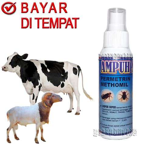 Jual Ampuh Super Obat Kutu Sapi Kambing Pembasmi Parasit Caplax Tungau