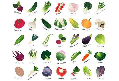 Vegetables Names 