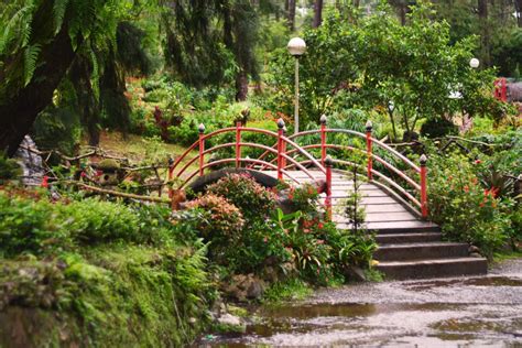 Baguio Citys Treasures Discovering Its Top Must Visit Spots