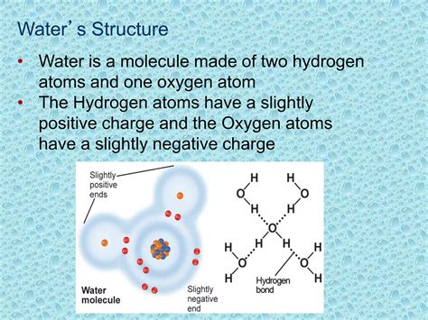 Properties of Water Presentation | PPT