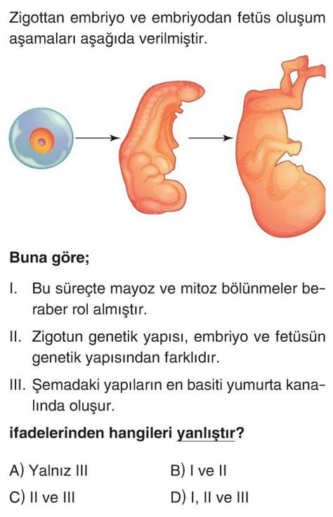 Canlılarda Üreme Büyüme ve Gelişme Test Çöz 7 Sınıf Fen Bilimleri